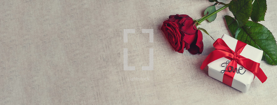red rose and gift 