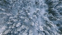 Winter forest from above, Bird view of Cold wild wood in frozen nature background
