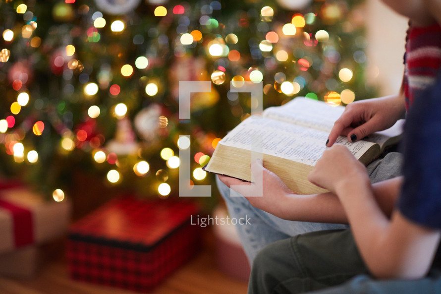 children reading a Bible beside of a Christmas tree