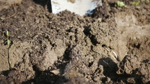 a man digging in soil 