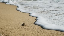 tide washing onto a beach 