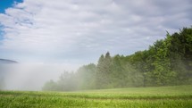 Foggy morning in green forest landscape Time lapse
