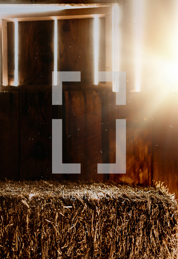 hay bale in a stable 