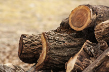 wood pile 