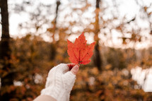 a woman holding up an autumn leaf 