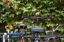 Bicycles in a bicycle rack and green ivy.
