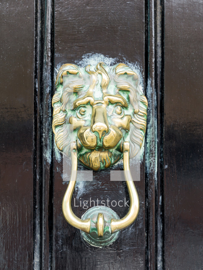 brass lion door knocker 
