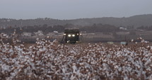 Cotton harvesting machine entering a cotton field.