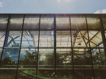 windows of a greenhouse 