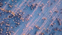 Rotate above frozen winter forest in wild snowy nature Aerial Top view
