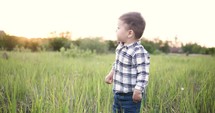 toddler boy walking through tall grass
