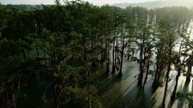 aerial view over a swamp 
