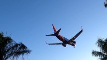 Airplane landing in airport at sunset, Los Angeles, California USA. 