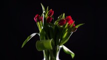 vase of tulips 