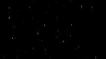 Snow falling on black background
