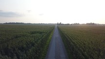 aerial view over corn fields in Indiana 
