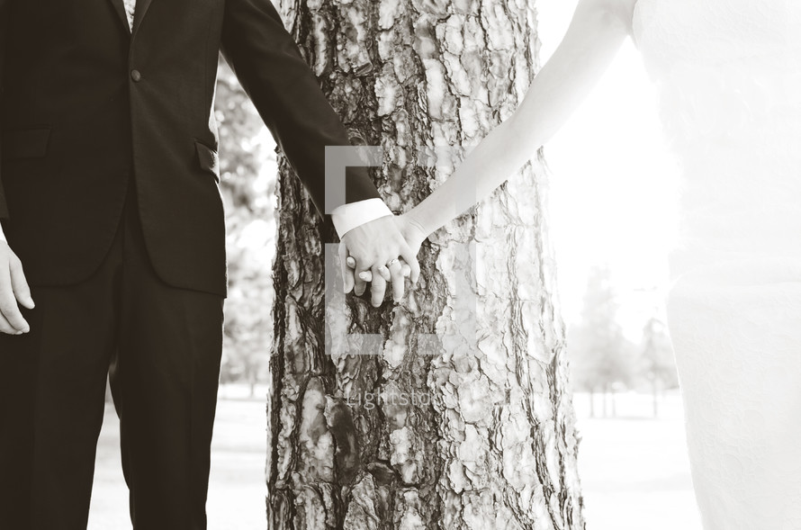 A man and woman holding hands in front of a tree.