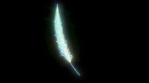 Glow feather blink star on black able to loop endless
