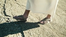 Jesus walking through a desert