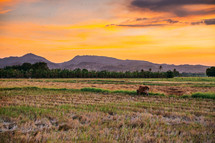 sunset landscape in the Philippines