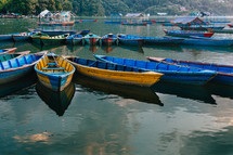 boats tied along a shore 