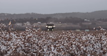 Cotton harvesting machine entering a large cotton field at sunset. 
