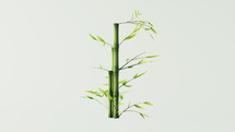 Loop animation of green natural bamboo plant background, 3d rendering.
