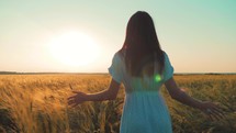 Woman in a blue dress walks along a wheat field and touches spikelets of wheat with her hand in a sunset light. Free woman relax in beautiful wheat field. Wheat cultivation.