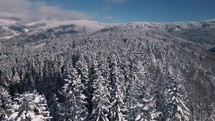 Aerial view of winter forest mountains in cold sunny frozen nature background

