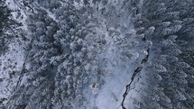 Bird view of frozen winter forest landscape with small stream Aerial nature
