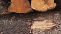 Background of firewood in winter heating season
