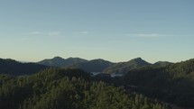 aerial view over forest and Shasta Lake