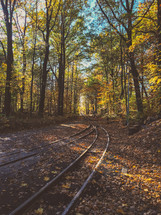 train tracks through an autumn forest 