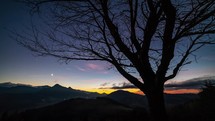 Blue night sky with stars move over wild cherry tree silhouette in alpine mountains nature after sunset Time-lapse 