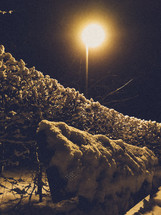 lamp shining at night in winter snow 