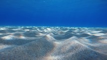 Sandy seabed and clear ocean water