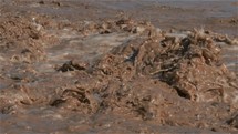 Slow motion of wild water splashing in muddy river rapids Global warming background
