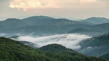 Misty evening above clouds moving in green forest valley time lapse
