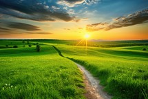 Beautiful summer landscape with sunrise over green meadow and road.