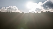 Sun setting down over forest silhouette with sunbeam and lens flare in evening sunset time-lapse
