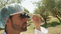 Expert with lab coat analyzing an olive with attention