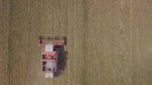 Combine harvester working on wheat field

