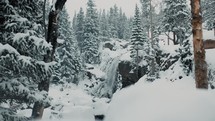Beautiful, scenic waterfall nestled in the mountains with snow falling down