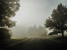 a curve in a road on a foggy morning 