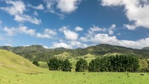 Time lapse of clouds over green mountains and farm land in New Zealand.

