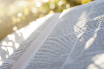 sunlight on the pages of a Bible outdoors 