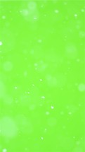 Vertical video of snow snowing in green screen background

