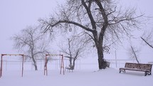 snow in a park 