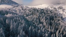 Aerial view of frozen winter forest in sunny mountains nature Outdoor background
