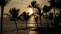 Palm trees sway in the breeze with an ocean sunset beyond